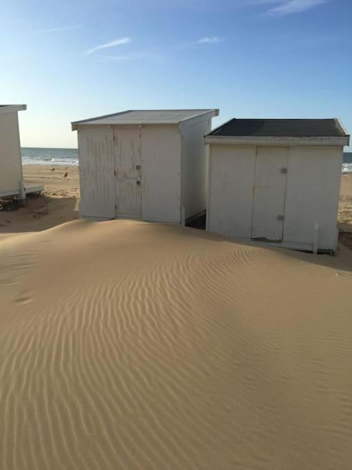 Vue Sur Dunes ! Sangatte Luaran gambar